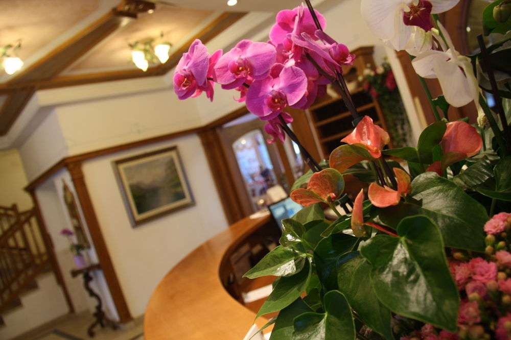 Ariston Lake View Hotel 몰베노 외부 사진